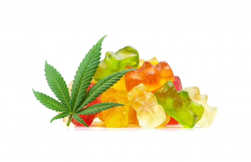 cannabis gummie bears