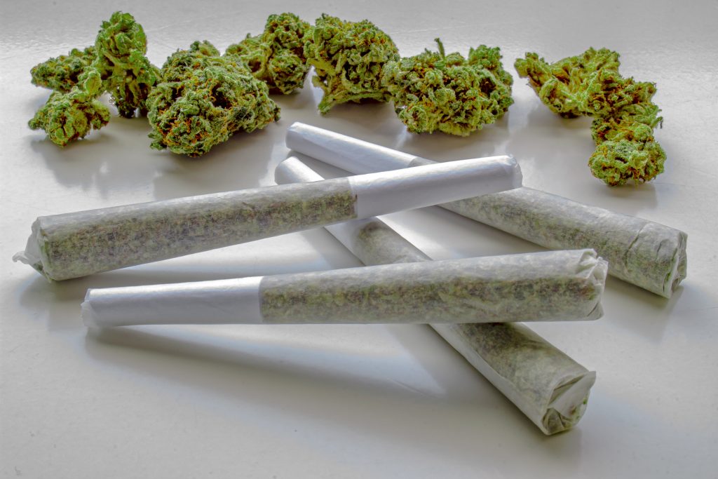 cannabis flower buds and cannabis joints