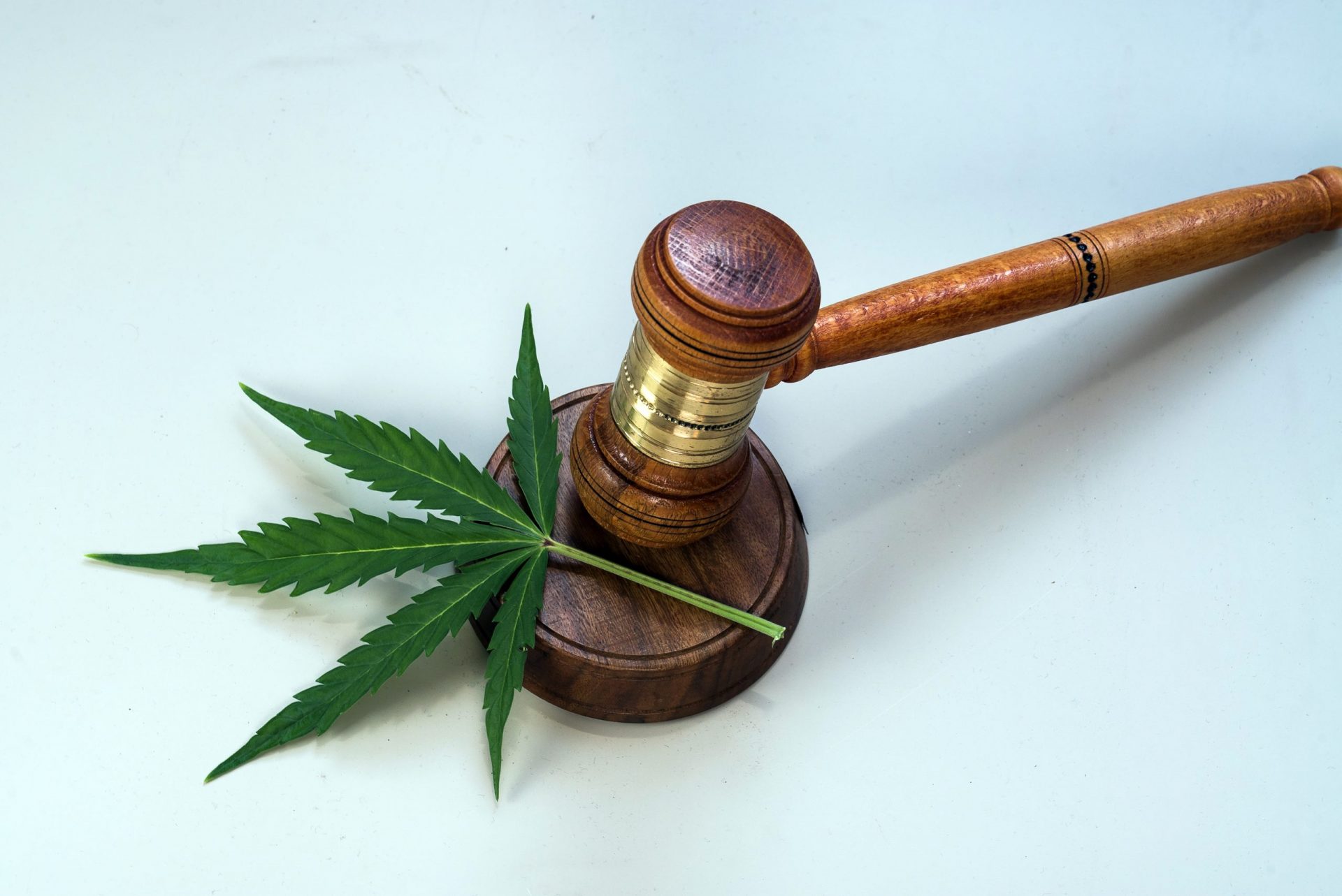 close up of a gavel and a single cannabis leaf