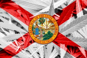 Florida flag with cannabis leaves