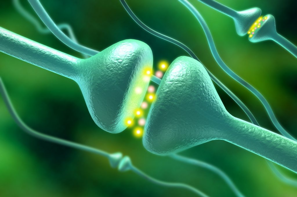 illustration of activated chemical synapses in human brain.