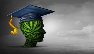 cannabis leaf head with graduation cap - concept
